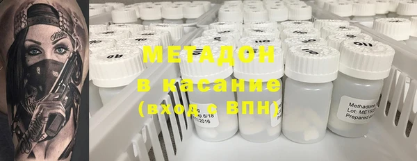 индика Аркадак