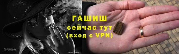 сатива Балахна