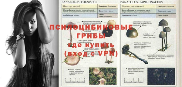 круглые Арсеньев