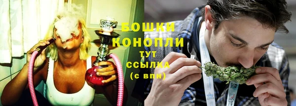 сатива Балахна