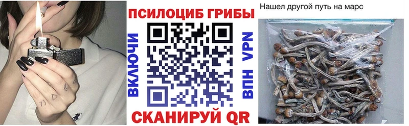Псилоцибиновые грибы прущие грибы  купить наркотики цена  Елабуга 